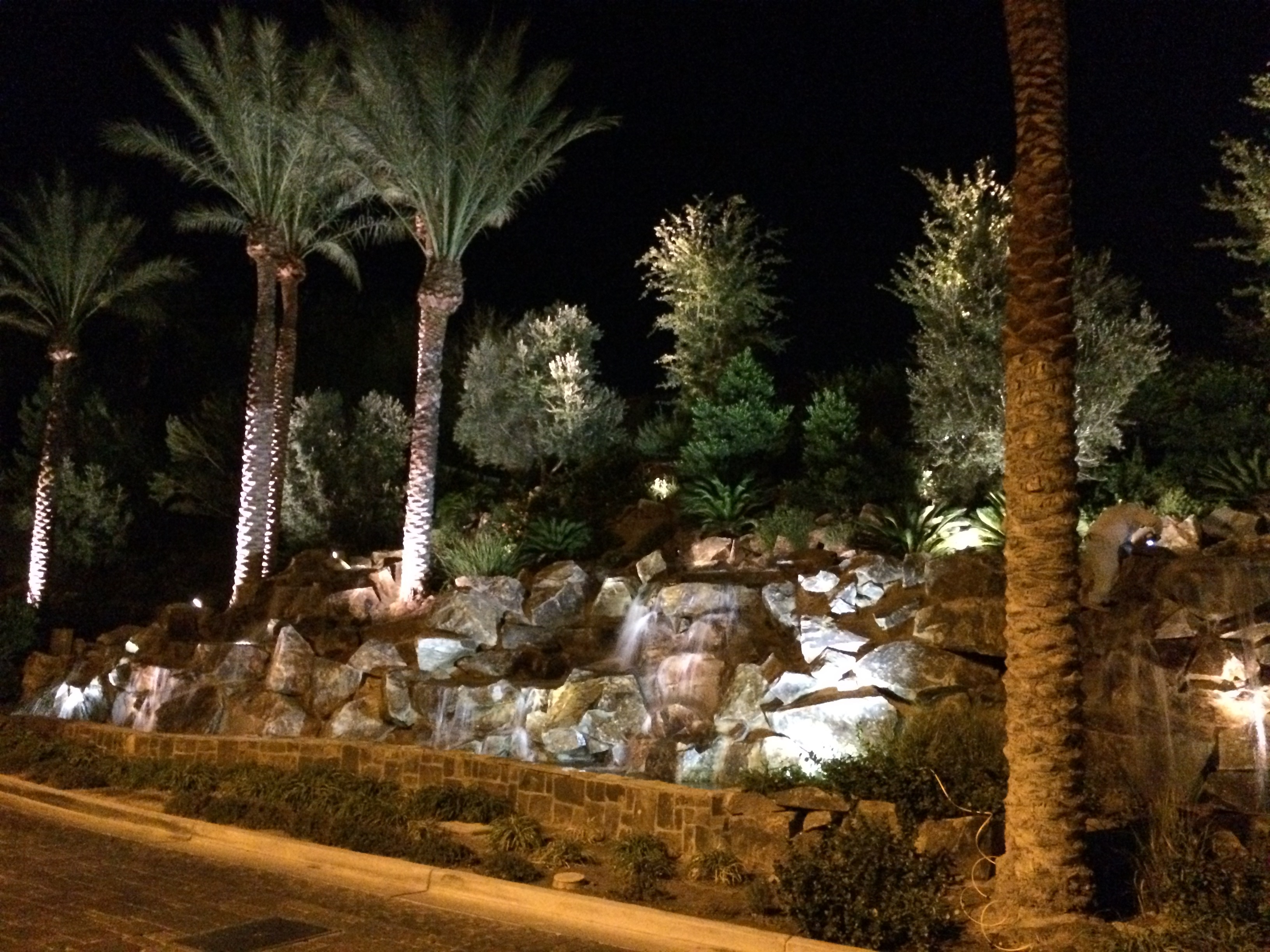 lumières LED de jardin