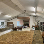 lumières LED agricole