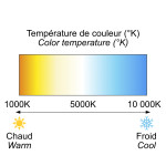 Température de couleur: Blanc chaud ou Blanc froid?