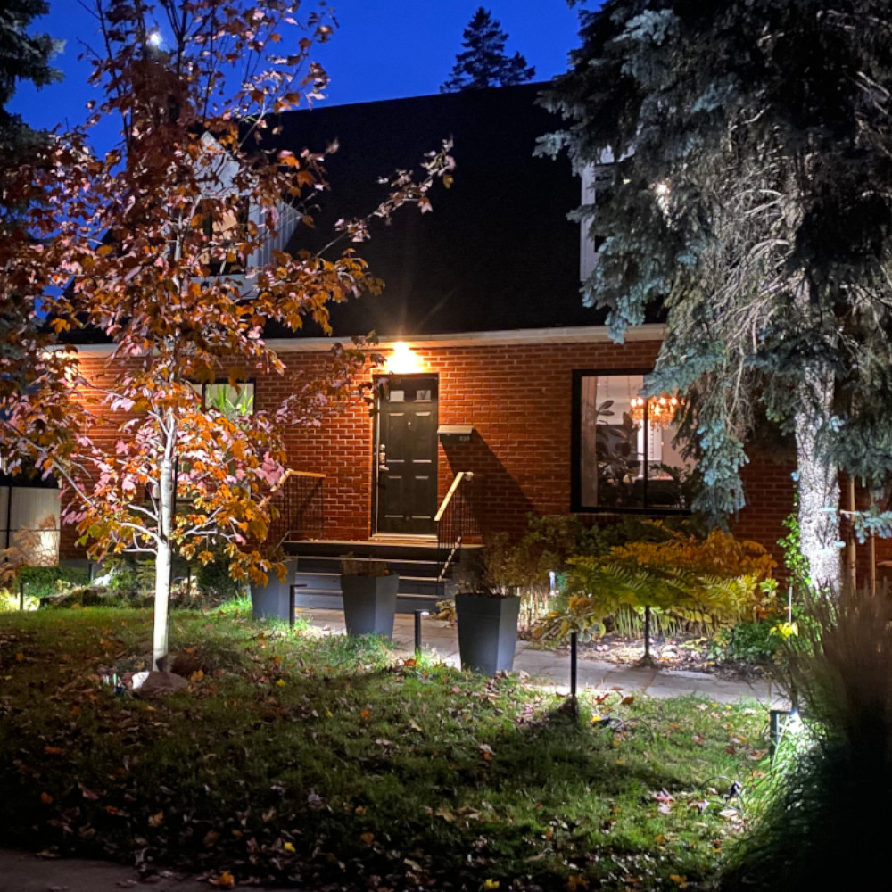 lumières LED de jardin