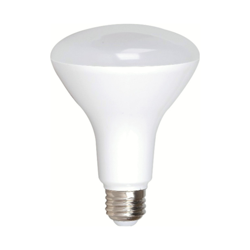 AMPOULE LED BR30 13W