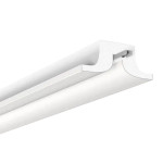 GYPSUM COVE - SULCUS