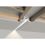 GYPSUM COVE - SULCUS