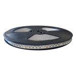 RUBAN LED 23W/M (RGBW)