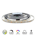RUBAN LED 20W/M (CCT)