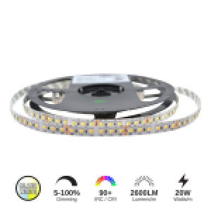 RUBAN LED 20W/M (CCT)
