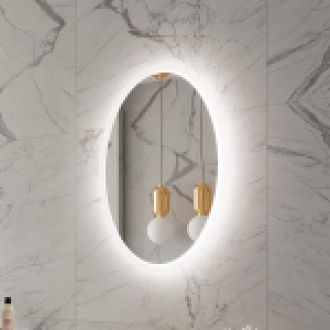 MIROIR LED OVALE GIVRÉ RÉTRO-ÉCLAIRÉ